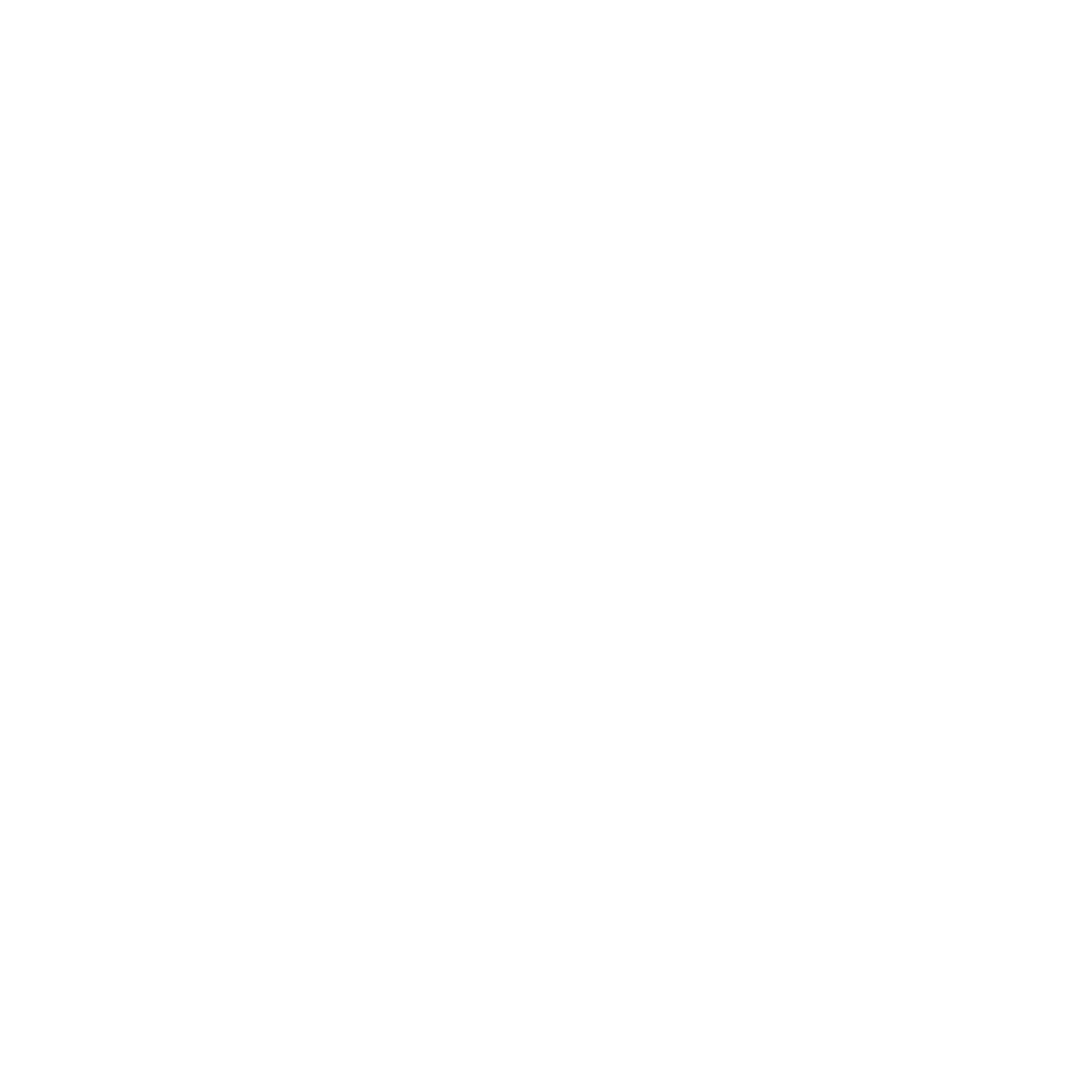 Mvp Customs
